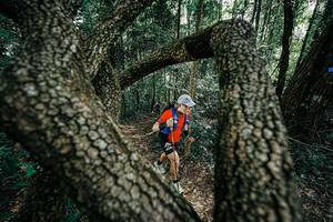 BIB: 
                            <button type="button" onclick="openModal(25391889)" class="btn btn-primary btn-sm float-right btn-popup" data-toggle="modal" data-target=".modal-high-quality">
                        <i class="fas fa-shopping-cart"></i> Add to Cart
                    </button>
                                            <button type="button" onclick="isThisMe(25391889, true)" class="btn btn-success btn-sm float-right btn-popup btn-isme hidden" data-toggle="tooltip" data-placement="bottom" title="นี่คือรูปของคุณใช่ไหม คลิกที่นี่เพื่อเอาเข้าอัลบั้ม">
                        <i class="fas fa-plus"></i> Add to album
                    </button>
                    <button type="button" onclick="isThisMe(25391889, false)" class="btn btn-warning btn-sm float-right btn-popup btn-isnotme hidden">
                        <i class="fas fa-ban"></i> Remove from album
                    </button>